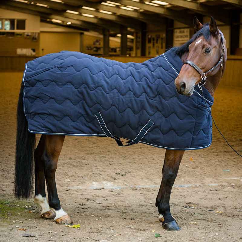 Dominick Puffed Fleece Rug (250g) - Image 3